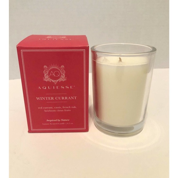 Aquiesse Winter Currant Luxery Scented Soy Wax Candle 6.5 Oz NIB Holiday - Picture 1 of 3